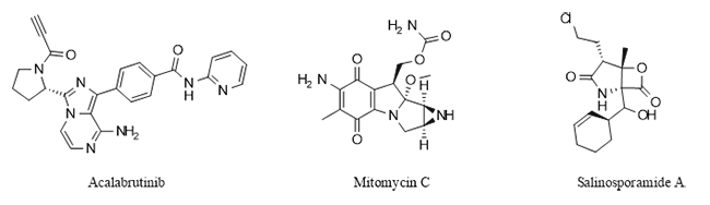 Stickstoffhaltige heterozyklische Arzneimittel