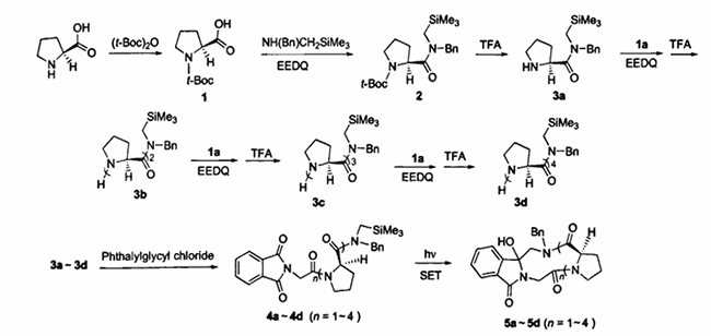 Syntheseweg stickstoffhaltiger heterozyklischer Prolinpeptide