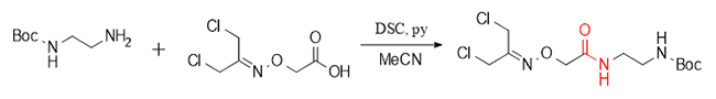 DSC-vermittelter Syntheseweg