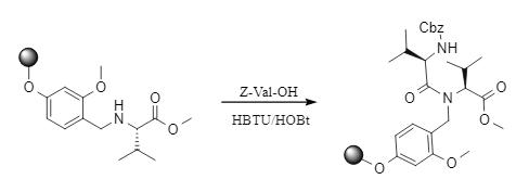 HBTU-vermittelte Festphasenpeptidsynthese