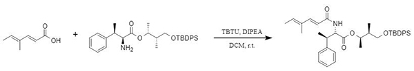 TBTU-vermittelte Synthese des Jomthonsäure-A1-Fragments