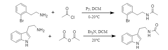 Methode zur Einführung von Acetylgruppen