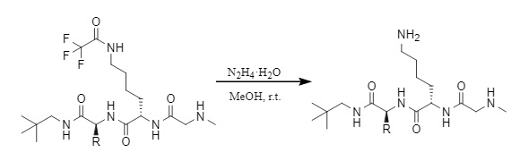 Entfernung von Tfa durch Hydrazinhydrat
