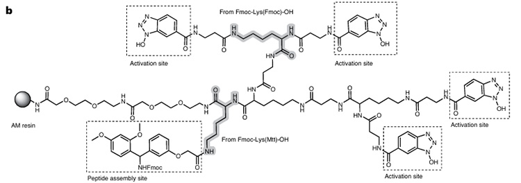 Zusammensetzung von RMMR