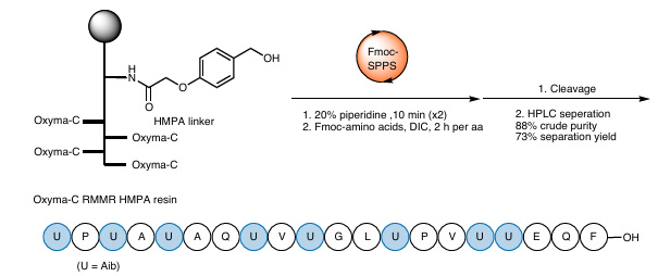 Synthese von Alamethicin-F-Analoga